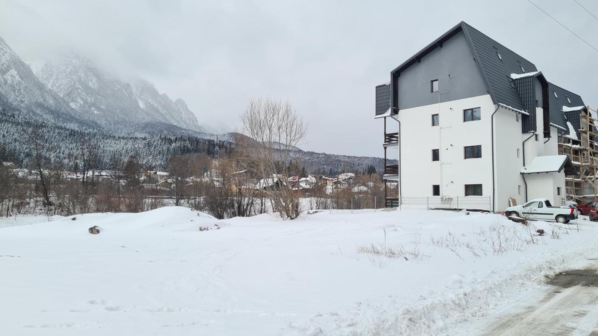 Cozy Riverfront Apartments With Garden And Mountain View Busteni Bagian luar foto