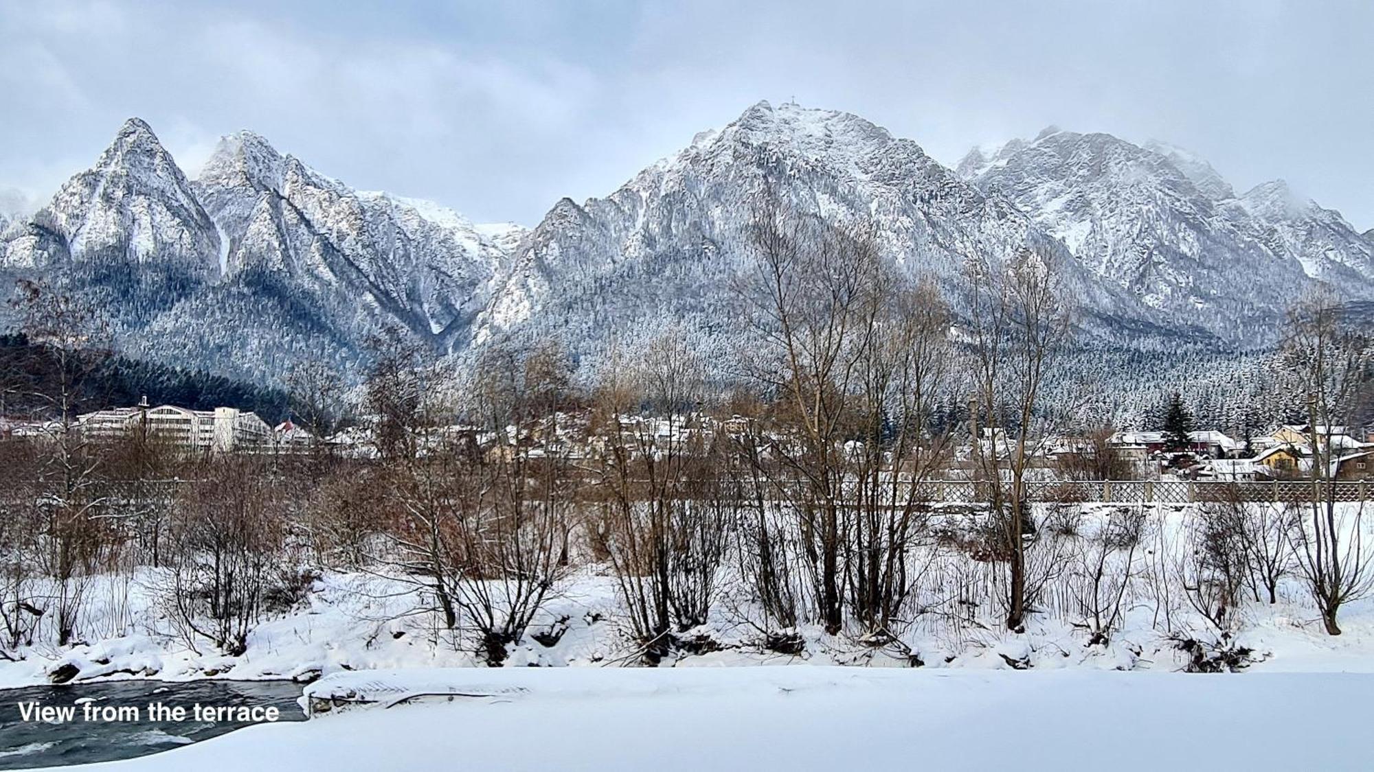 Cozy Riverfront Apartments With Garden And Mountain View Busteni Bagian luar foto