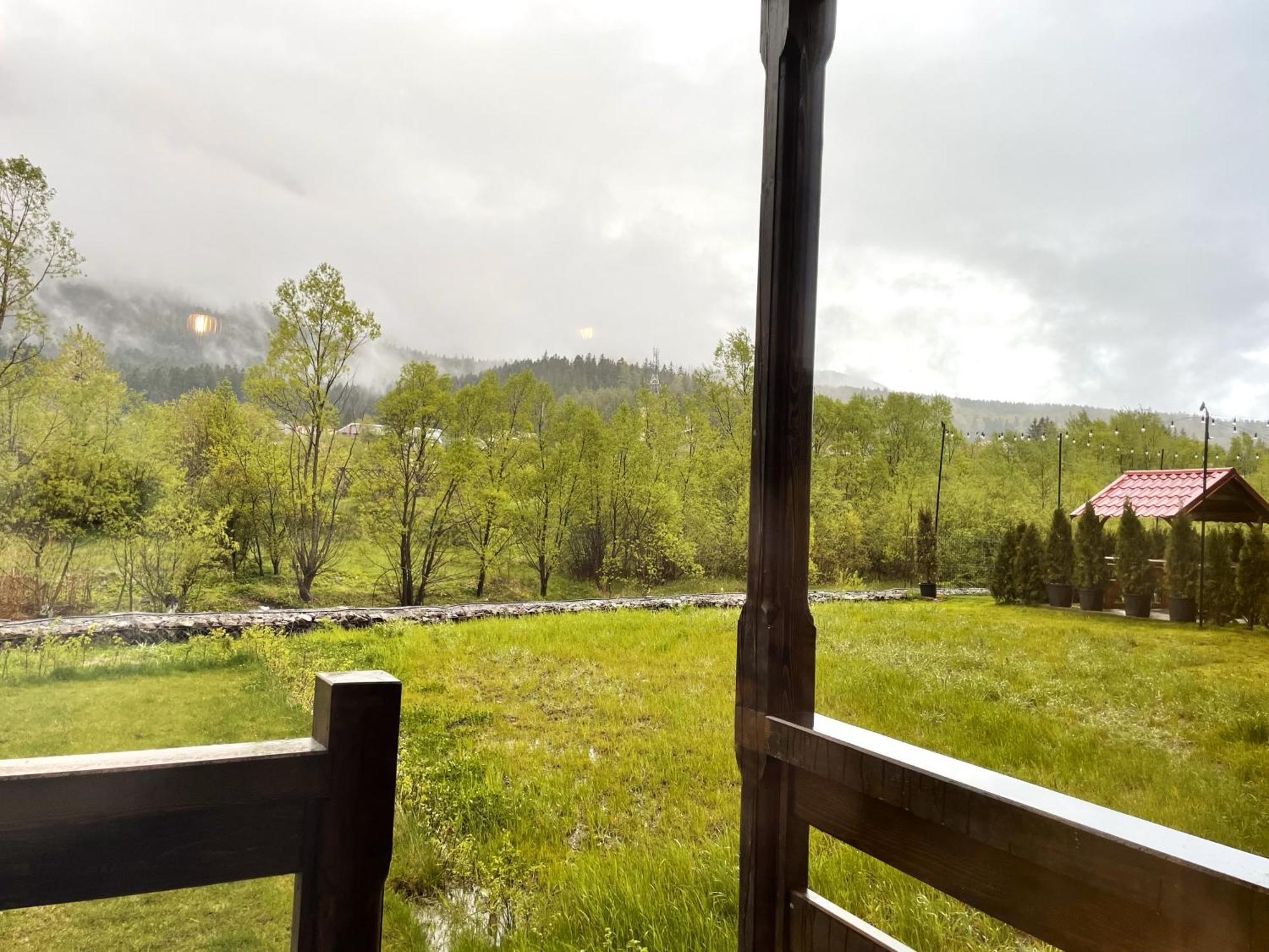 Cozy Riverfront Apartments With Garden And Mountain View Busteni Bagian luar foto