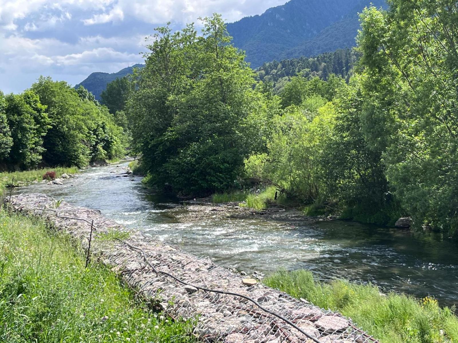 Cozy Riverfront Apartments With Garden And Mountain View Busteni Bagian luar foto